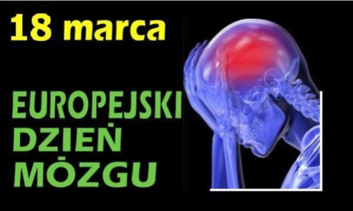  18 marca -  Europejski Dzień Mózgu 