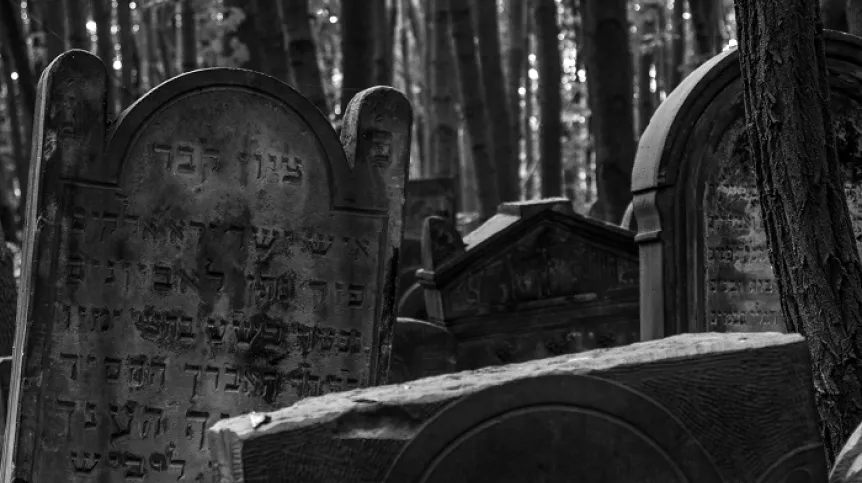 Francja/ Hanna Krall i Anna Bikont laureatkami nagrody Odette i Leona Chertoków