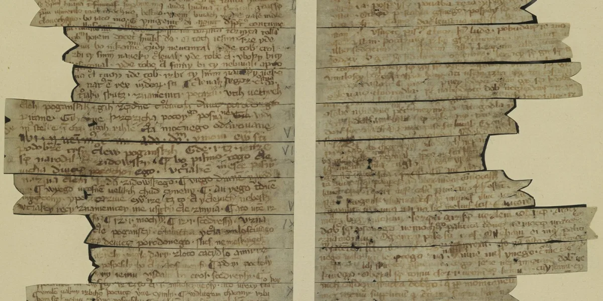 Kazania świętokrzyskie — paski pergaminu średniowiecznego rękopisu odzyskane z oprawy księgi, Biblioteka Narodowa, Wikimedia Commons, domena publiczna
